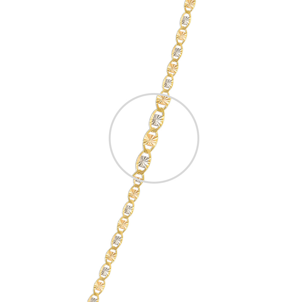 Compositor harina vecino Collar de Cadena Gucci Estrella Oro Florentino 10k 2 mm - Abba Joyas®